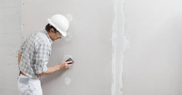 Best Remodeling Drywall Solutions  in USA